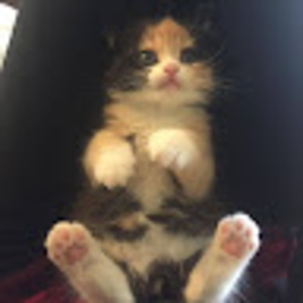 Meet your Posher, Toes